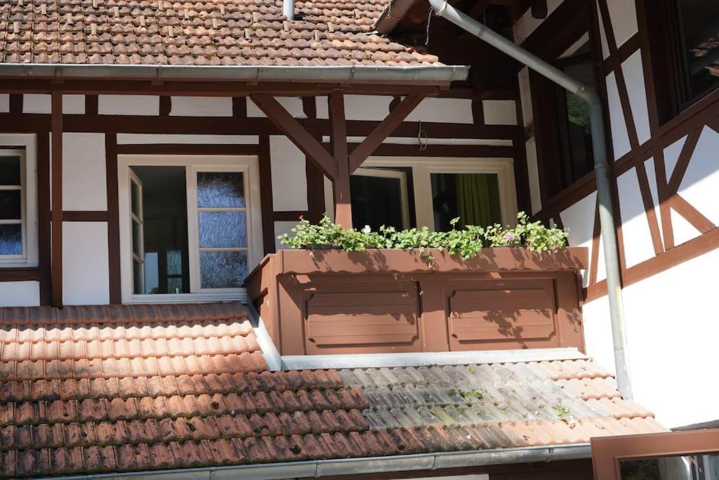 겐넨바흐 Haus Nilson 아파트 외부 사진